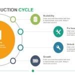 The Production Cycle