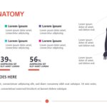 Human Anatomy