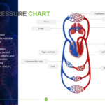Blood Pressure Chart