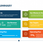 Project Executive Summary