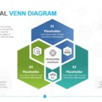 Hexagonal Venn Diagram