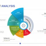 Pie Chart Analysis