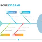 Real Fishbone Diagram
