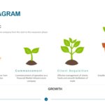 Plant Diagram