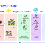Biology-PowerPoint-Template