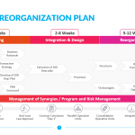 Business-Reorganization-Plan-Template