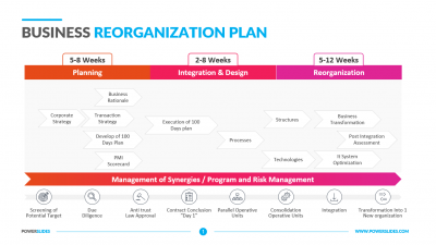 Business Reorganization Plan
