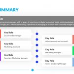 Career-Summary-Template