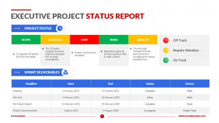 Executive-Project-Status-Report-Template