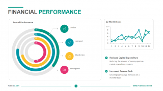 Financial Performance